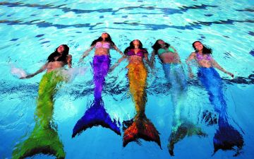 Nieuwe start Zeemeermin- & OrkaZwemmen