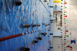 image00075