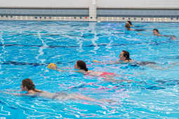 P1555142.jpg