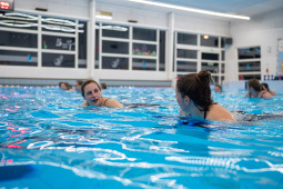 P1555167.jpg