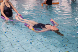 P1555287.jpg
