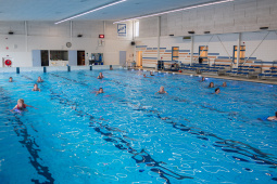 P1555586.jpg