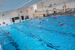 P1555595.jpg