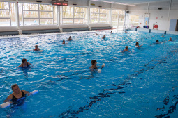 P1555628.jpg