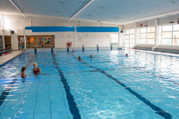 P1555900.jpg