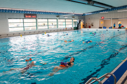 P1566716.jpg