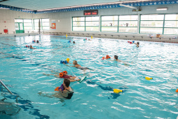 P1566730.jpg