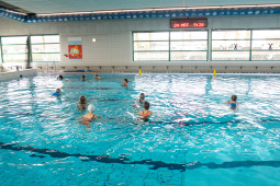 P1566743.jpg