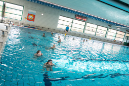 P1566747.jpg