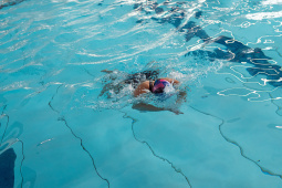 P1566917.jpg